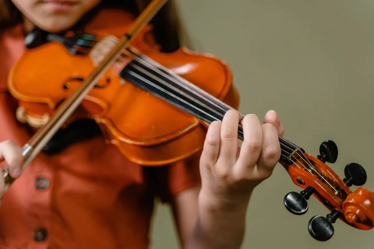violin2