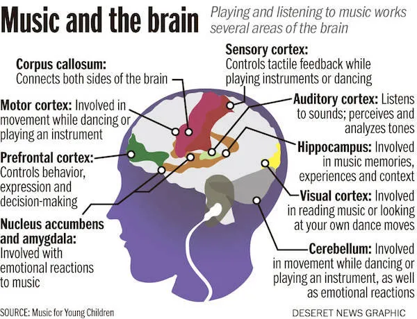 Brain-on-music